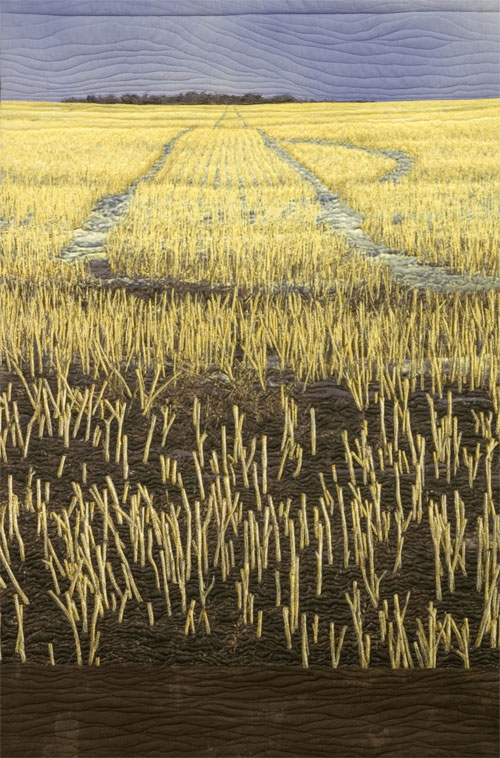 Canola Stubble