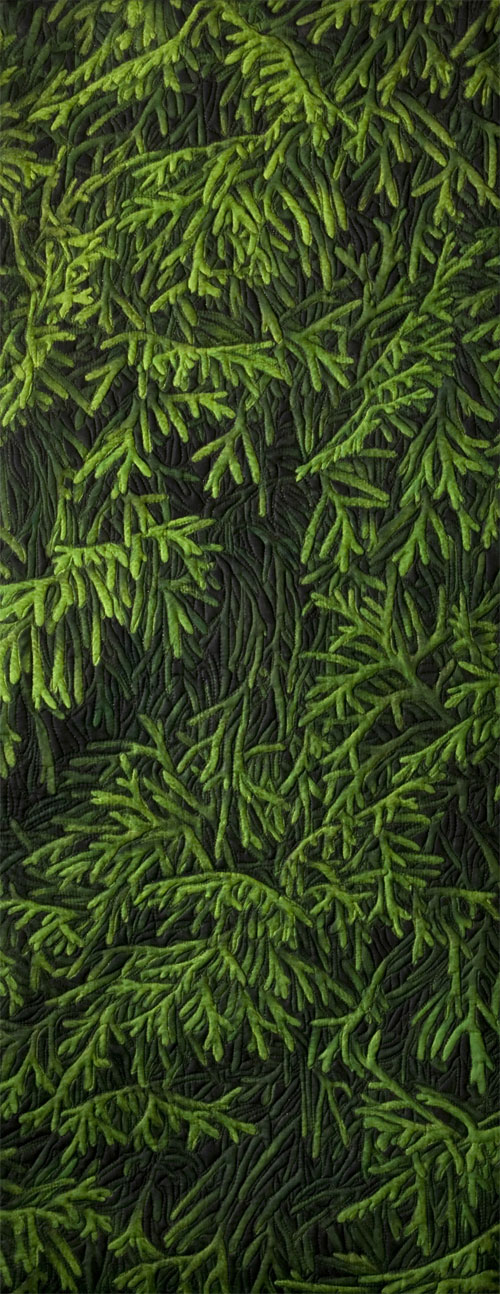 Cedar Hedge