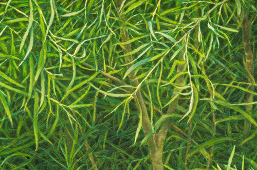 Elemental Green: Willows