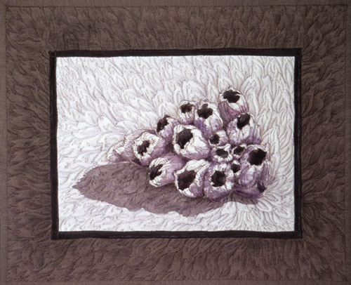 Barnacle Bouquet