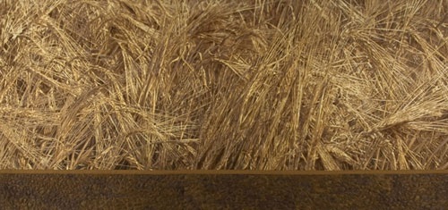 Harrington Barley