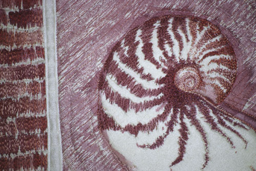 Nautilis Shell detail